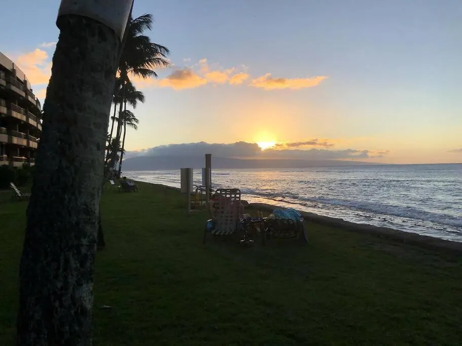 Kahana Paki Maui In Paradise - Ocean Side דירה
