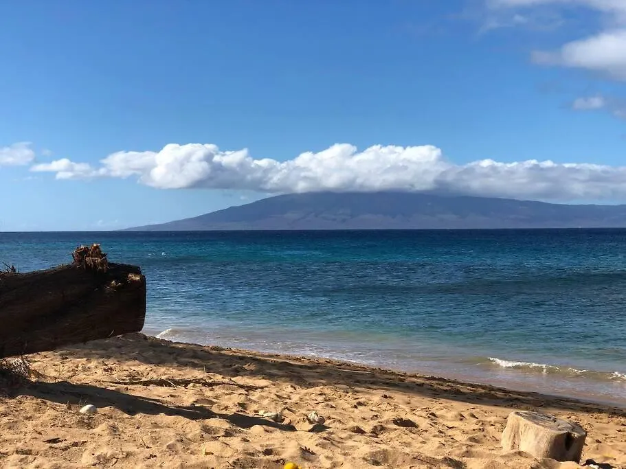 Paki Maui In Paradise - Ocean Side Kahana United States