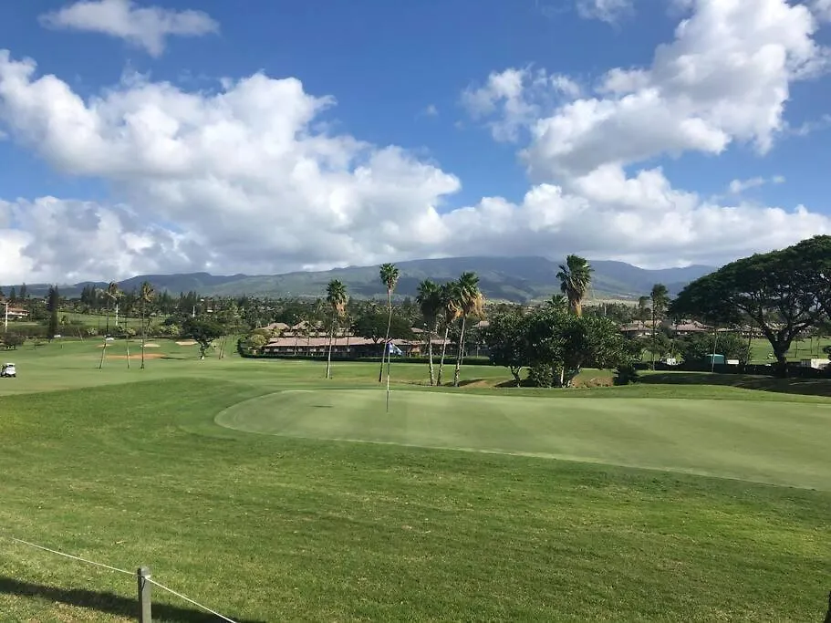 Paki Maui In Paradise - Ocean Side Kahana 0*,  United States