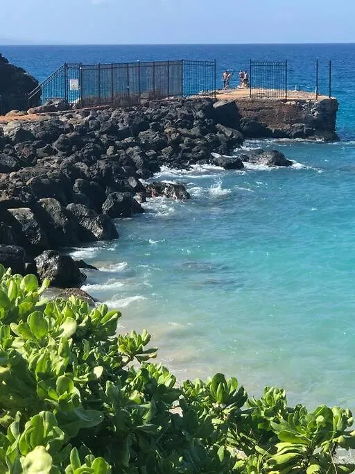 Apartment Paki Maui In Paradise - Ocean Side Kahana