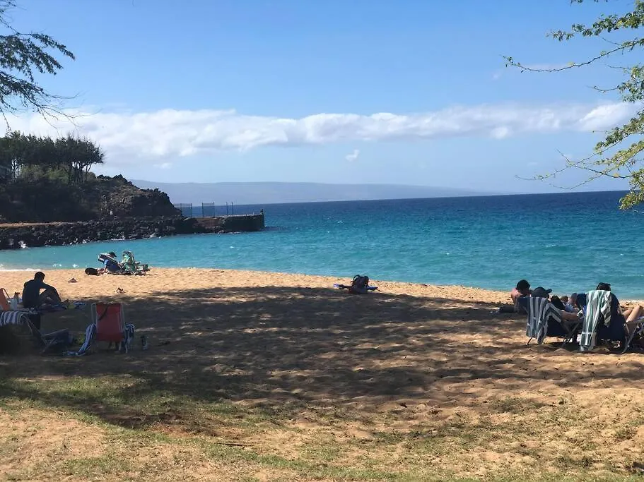 Kahana Paki Maui In Paradise - Ocean Side