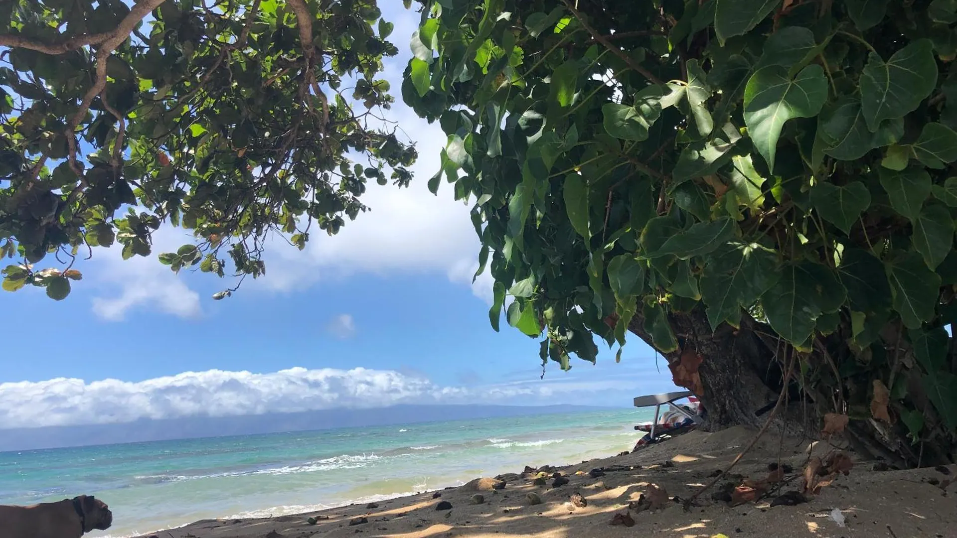 Paki Maui In Paradise - Ocean Side Kahana