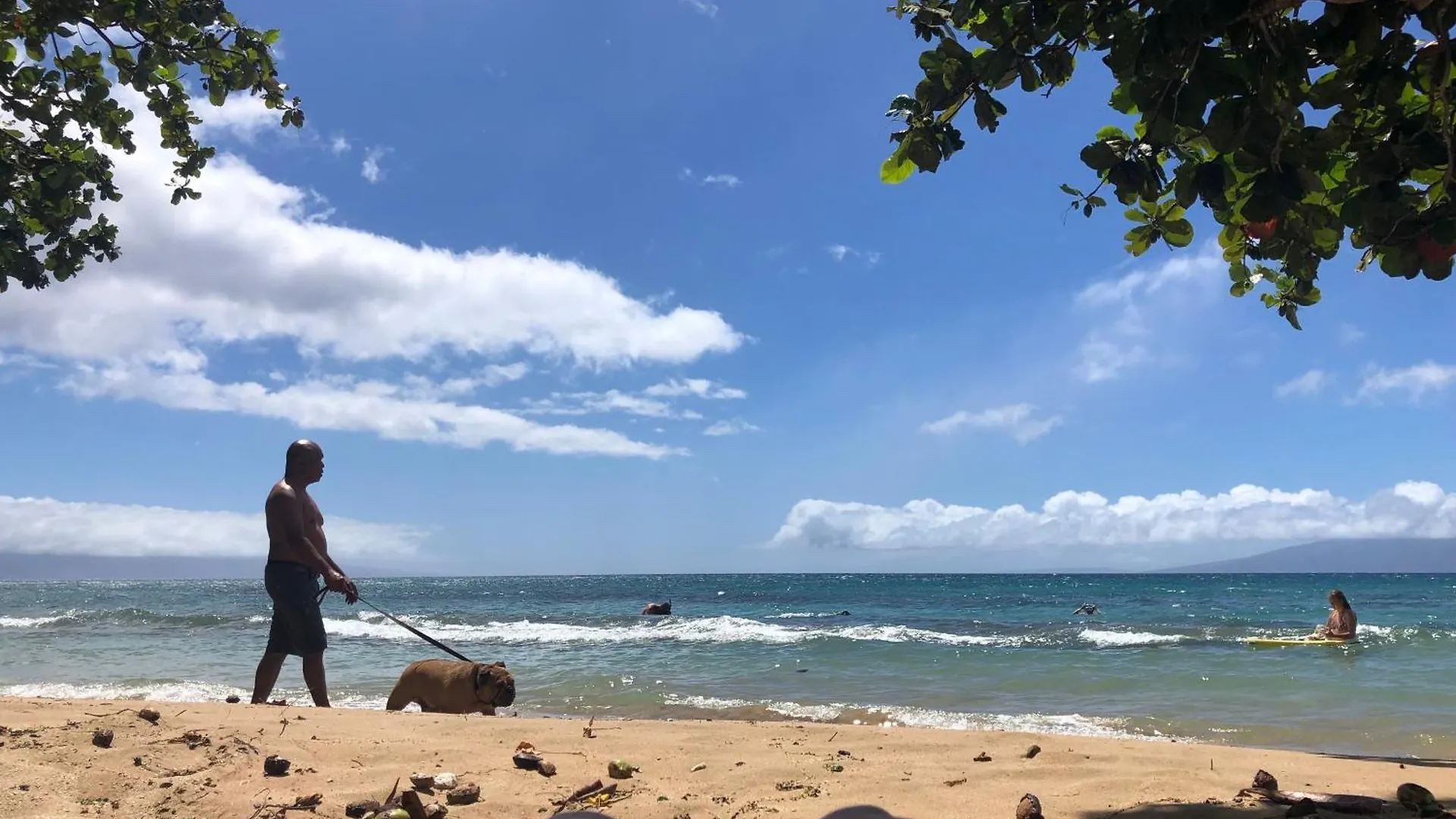 Paki Maui In Paradise - Ocean Side Kahana