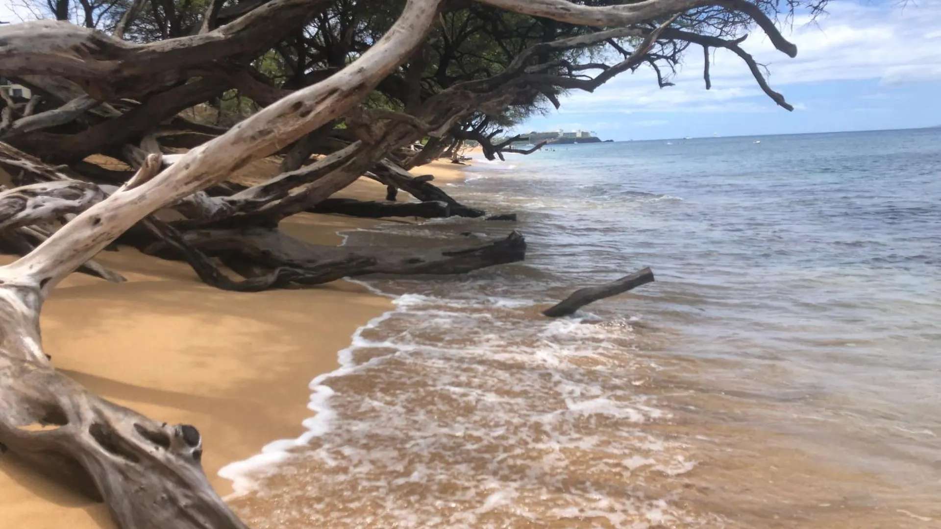 Paki Maui In Paradise - Ocean Side Kahana 0*,  United States