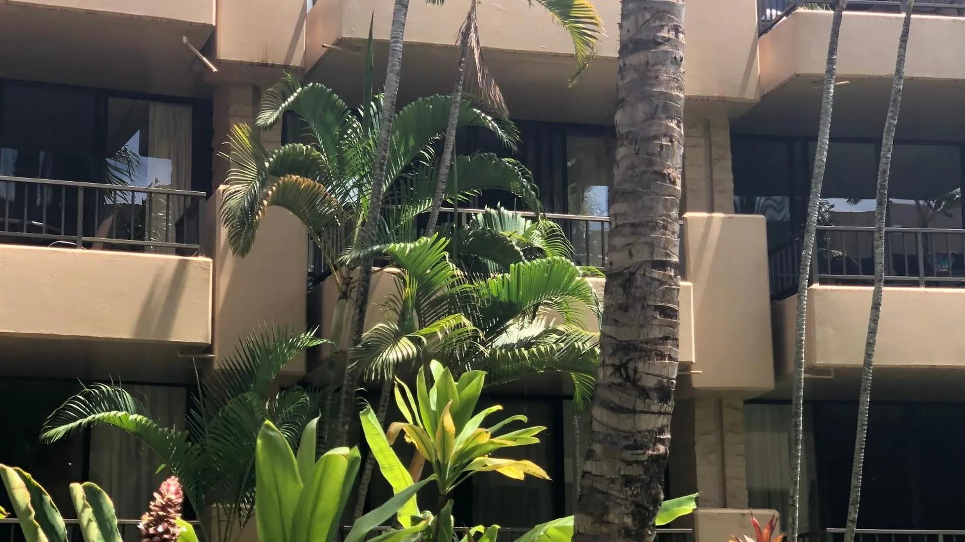 דירה Kahana Paki Maui In Paradise - Ocean Side